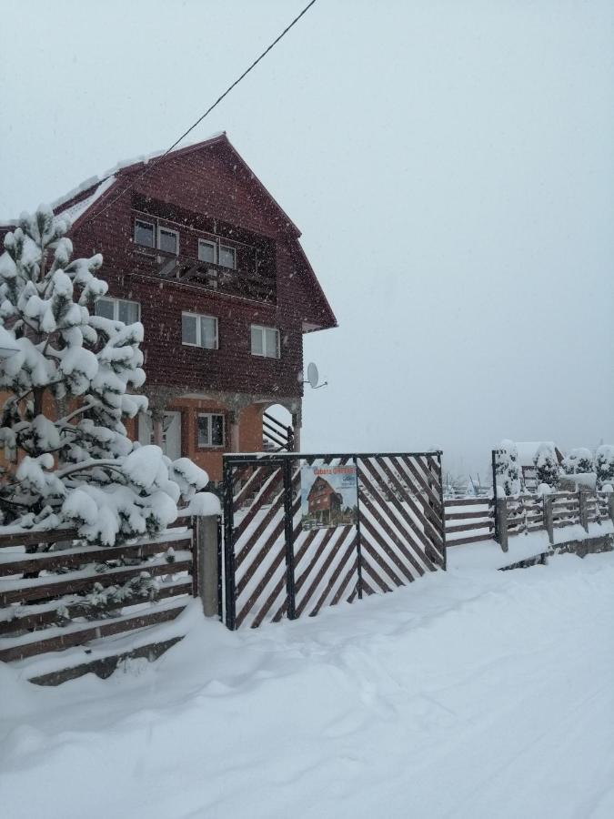 Cabana Ghetari Екстериор снимка